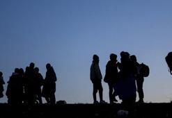 Bakan Yerlikaya açıkladı: 81 ilde 478 düzensiz göçmen yakalandı