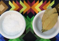 Eskilerin sırrı ortaya çıktı: Defne yaprağı ve karbonat bir araya gelince bakın ne oluyor?