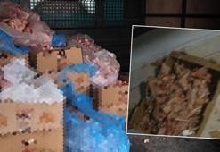 Mide bulandıran görüntüler! Yakalanmasalardı vatandaşa yedireceklerdi