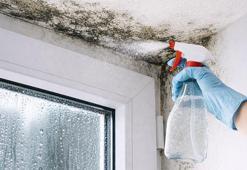 Küf, rutubet, koku kalmıyor! Çamaşır suyundan 100 kat etkiliymiş, anında çıkarıyor