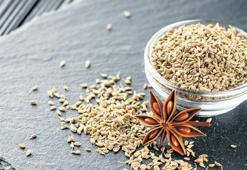 Toprağın hafızası kışın bedenle nasıl konuşur?