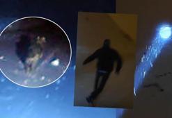 Araçtan inip görüntülemek istedi! Kurt merakının sonu kötü bitti