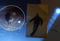 Araçtan inip görüntülemek istedi! Kurt merakının sonu kötü bitti