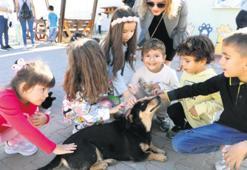 Can dostlara sıcak yuva