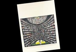 Bazen bitki bazen kitap