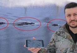 -20'de ayak izlerini takip etti, gördükleri şaşkına çevirdi! Hem karada hem suda