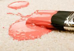 Halıdaki guaj boyasını saniyeler içinde söküp atıyor! Meğer çözümü mutfağınızdaymış, kimse bilmiyor..