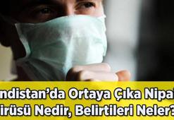 Yeni Bir Pandemi mi Geliyor? Hindistan’da Ortaya Çıkan Nipah Virüsü Nedir, Belirtileri Neler? Ne Kadar Tehlikeli?