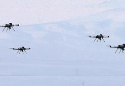 Kargu sürü halinde avladı