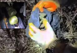 Yerlikaya duyurdu! 'Narkokapan Diyarbakır ve Manisa' operasyonlarımda 445 kişi yakalandı