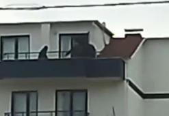 Kocaeli'de FETÖ operasyonu! Kaçacak yeri kalmadı, çatıda gizlenirken yakalandı