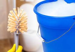 Tuvalet fırçası pırıl pırıl oluyor! Işığı kapatınca mikrop çıkıyor, rengi değişecek