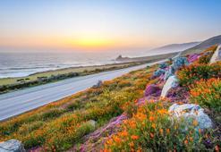 Adım adım bahar: İşte havaya, suya ve toprağa cemre düşme tarihleri