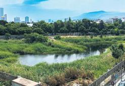 Tugay’a destek Kocaoğlu’na tepki