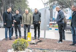 Kendi yeşilini kendi üretiyor