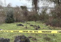 Sakarya'daki gizemli ölümde korkunç şüphe! Cesedinin yakınında bulundu