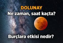 Dolunay ne zaman, saat kaçta? 🦁 2026 Şubat Aslan Dolunayının burçlara etkisi nedir?