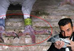 Bulup getiren sorgulanmayacak, ödülünü alacak: Değeri çok büyük