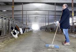 Depremde hayvanları telef olan besiciye devlet desteği: 'Ölen hayvanlarımdan daha güzelini getirdiler'