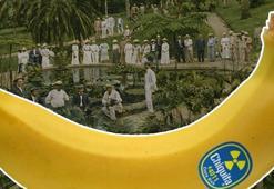 Market rafındaki muz ülkeleri nasıl yönetti? Çikita'nın darbelere uzanan 127 yıllık hikâyesi