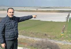 Yağmur çiftçinin yüzünü güldürdü