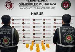 Habur'da ayakkabı içerisinde 41 kilo altın ele geçirildi!