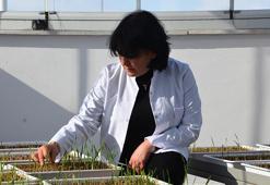 Eksi 15'te ölüyordu! Türkiye'de devrim yaratacak uygulama