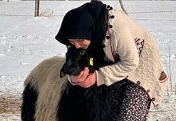 Van’da yürek ısıtan dostluk: Esmer kız ile Karakız! 'Onu görmeden güne başlayamıyorum'