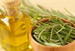 Sosyal medyanın yeni gözdesi: Biberiye yağı mucize mi, yoksa şehir efsanesi mi?