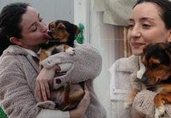 Viral videonun perde arkası! Tüm hikaye yağmur altında başladı: 'Boncuk' deyip geçmeyin