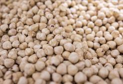 Türkiye fındık ihracatından 973 milyon dolar gelir sağladı