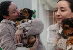 Viral videonun perde arkası! Tüm hikaye yağmur altında başladı: 'Boncuk' deyip geçmeyin