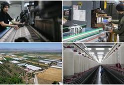 Depremden etkilenen illerin ihracatında toparlanma devam ediyor