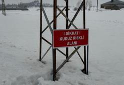 Hakkari'de kuduz alarmı! Bir köy karantinaya alındı, ekipler teyakkuzda
