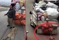 Ankara'da korkunç işkence! Sürüklenen köpek son anda kurtarıldı