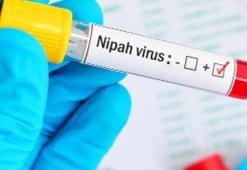 Nipah virüsü ile ilgili merak edilenler