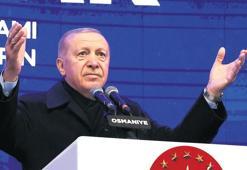 ‘Küllerimizden yeniden doğduk’