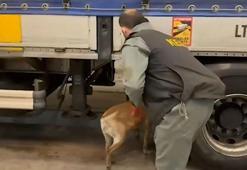 Edirne'de 240 kilogram uyuşturucu ele geçirildi