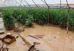 Geçen haftaki yağış ve hortumun faturası Antalya'ya ağır oldu