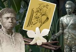 Çocuk kölenin parmaklarından vanilya döküldü! Arıları taklit edip elle üretti, adı gizlendi