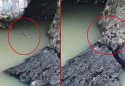 Yer: Elazığ! Kaplıcada fark etti, görür görmez telefona sarıldı