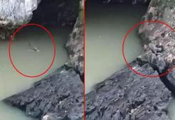 Kaplıcada fark etti, görür görmez telefona sarıldı