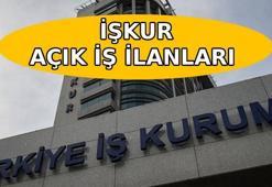 İŞKUR GÜNCEL AÇIK İŞ İLANLARI 📢 81 ilde KPSS'siz 71.365 kişi alınacak! Şubat 2026 İŞKUR yeni güncel iş ilanları listesi...