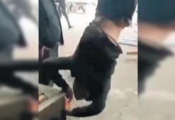 ‘Vicdansız insanlar!’