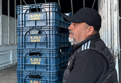 Fenerbahçe taraftarının N'Golo Kante aşkı! İsmini domates kasalarının üstüne kazıdı