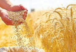 ‘İsrail’den tek bir tohum almıyoruz’