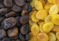 Malatya'da kuru kayısı ihracatında yeni sezondan beklenti yüksek