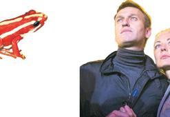 Dünya bu zehri konuşuyor