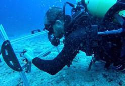 Karadeniz’de 'sessiz katil' alarmı! Kilometrelerce uzanan hayalet ağlar için harekete geçildi