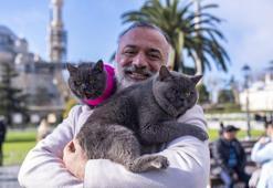 Omuzda İstanbul turu! 'Seyyah Kedi' Reis’e kızı Pera da katıldı: İkili sokak sokak geziyor